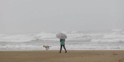 Una mujer pasea con su perro bajo la lluvia en Gandia (Valencia). 