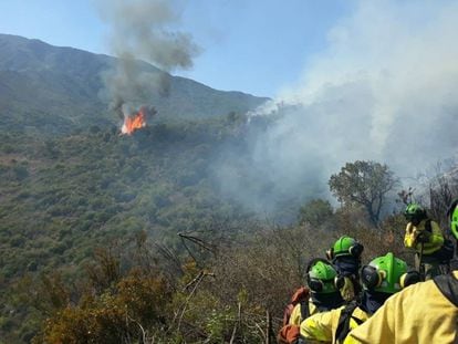Imagen del incendio en Estepona (Málaga).