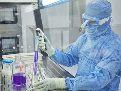 El equipo de investigación de la Universidad de Zaragoza que lidera el desarrollo industrial y clínico de una nueva vacuna contra la tuberculosis.