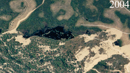 Evolución de la Laguna del Taraje de Doñana.