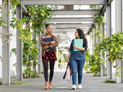 Las universidades se vuelven verdes para dar ejemplo al futuro