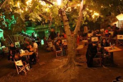 Una higuera preside la terra del Antic Teatre, en Barcelona.