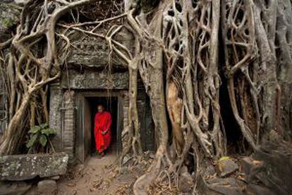 Un monje atraviesa la entrada del templo Ta Prohm, Angkor Wat, Camboya.