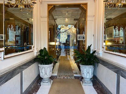 The two aspidistras that Manolo Cabezuelo takes care of in a doorway on Calle Fuencarral, in Madrid.