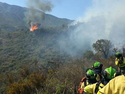 Incendios intencionados em EL PAÍS Brasil