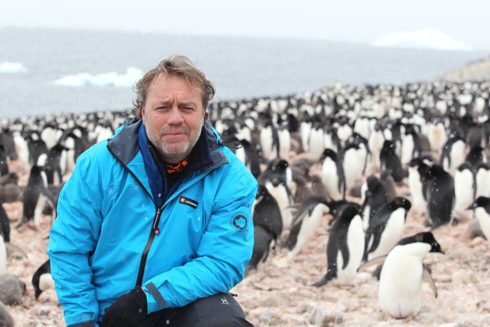 El periodista, rodeado de pingüinos en una expedición a la isla Paulet, en la Antártida.