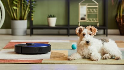 8 robots aspiradores perfectos para dueños de mascotas que quieren mantener  la casa limpia