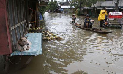 Un perro atado en una tienda cerrada por las inundaciones en la ciudad de Butuan (Filipinas), el 17 de enero de 2014.