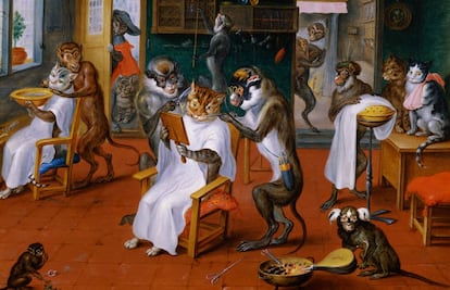 Una peluquería animal. Los gatos, por Schrödinger; los monos... porque sí