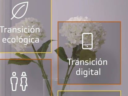 Bankinter: claves para optar
al dinero de Bruselas