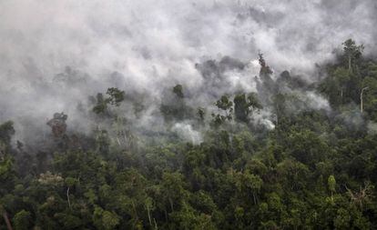 Vista &aacute;rea de la humareda de un incendio en Sumatra en septiembre de 2015. 
