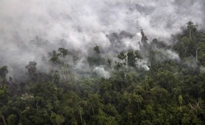 Las emisiones de CO<sub>2</sub> por incendios forestales y quema de biomasa  subieron un 12% en 2015 | Ciencia | EL PAÍS” style=”width:100%”><figcaption style=