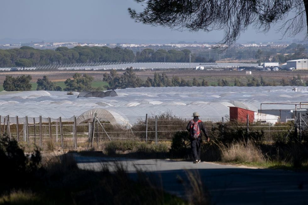 Agricultura Trabajo Digno Tambi N Para Los Campesinos Extranjeros