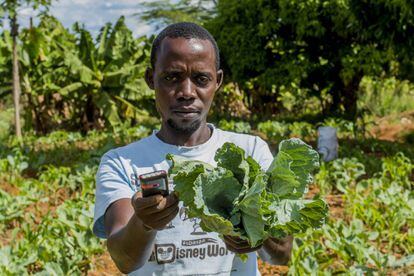 Agri-wallet es una plataforma que ofrece financiación a pequeños agricultores kenianos. Imagen cedida por la empresa.