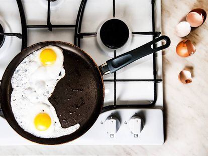 Consejos para conservar los alimentos en la nevera - Frumen - Fabricantes  de pan rallado