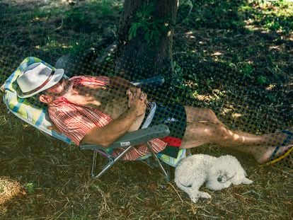 Un hombre realiza una siesta debajo de una higuera junto a su mascota./ ÓSCAR CORRAL (EL PAÍS).