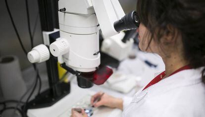 Un laboratorio del centro de investigación Barcelona Biomedical Research Park.