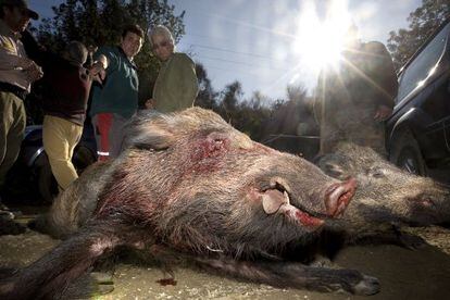 Los cazadores defienden la carne de caza por “ecológica y natural”.