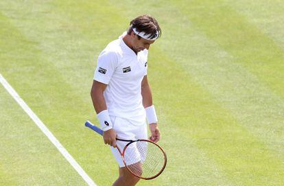 David Ferrer, en el torneo de Nottingham