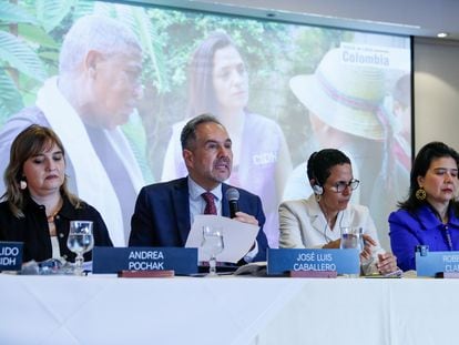 El comisionado y relator para Colombia de la Comisión Interamericana de Derechos Humanos, José Luis Caballero, habla junto a la presidenta de la Comisión Interamericana de Derechos Humanos, Roberta Clarke, en Bogotá.