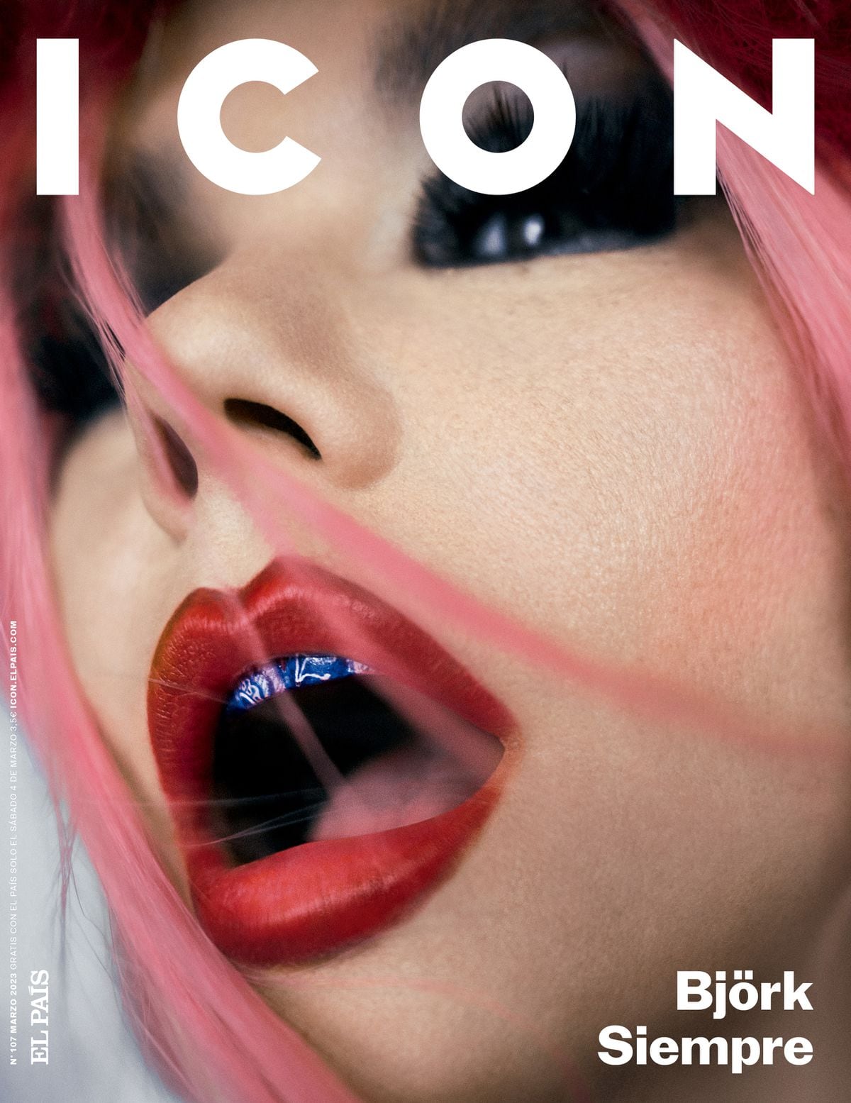 Björk en portada del nuevo número de ICON | ICON | EL PAÍS