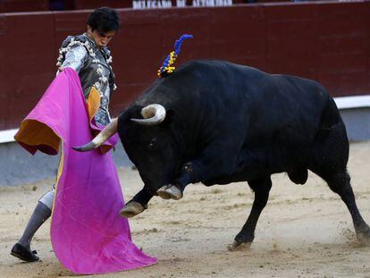 El diestro Juan del &Aacute;lamo da un pase con el capote al segundo de su lote durante la tradicional Corrida Goyesca.