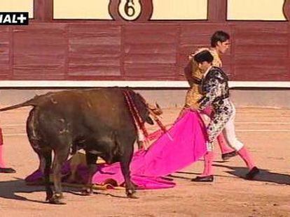 El Fundi, un torero cabal en Las Ventas