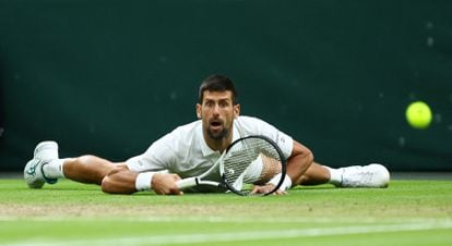 Djokovic, sobre el césped de la pista central.