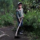 04/03/21. (DVD 1043) Oscar Tut, un niño huerfano que vuve con su tia Rosario en Alta Verapaz, Guatemala.
Jaime Villanueva.
