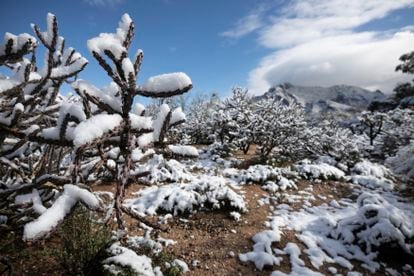 El desierto de Arizona, con un clima habitualmente cálido y seco, ha estado cubierto de nieve durante las últimas semanas. En la imagen, la sierra de Santa Catalina, al norte de la ciudad de Tucson, cubierta de nieve, el pasado 2 de marzo.