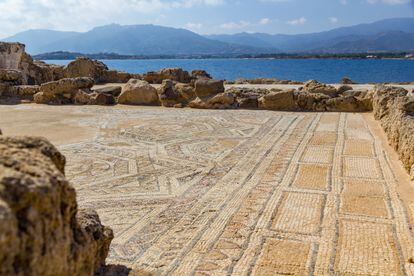 Mosaics from the archaeological site of Nora. 