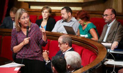 La consejera de Bienestar Social, Neus Munt&eacute;, al Parlament