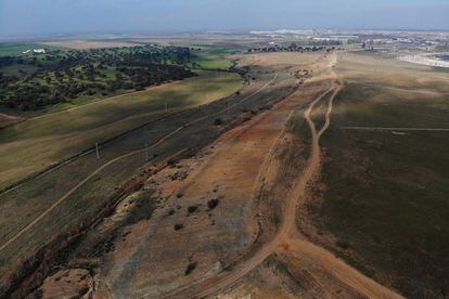 Estado actual de terrenos afectados por el vertido de Aznalcóllar, registrado hace 21 años. En la imagen se muestra la zona más contaminada por metales pesados, donde no crece nada, y franjas donde la vegetación ha vuelto a resurgir. 