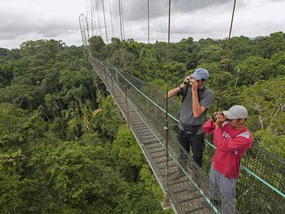 Dos visitantes en un puente suspendido de la reserva Sacha Lodge, en la selva amazónica de Ecuador. 
