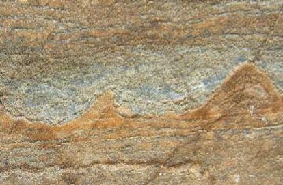Los fósiles hallados en las rocas de Groenlandia