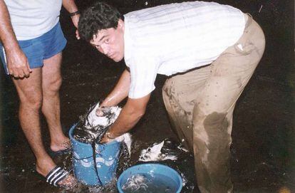 El consejero de Medio Ambiente, Higinio Hernández, pillado in fraganti desplumando pardelas en Alegranza en 1993.