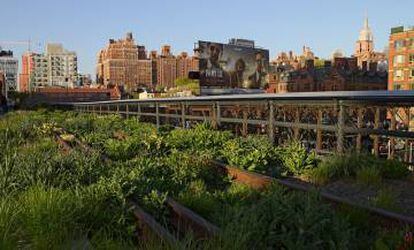 High Line, Nueva York