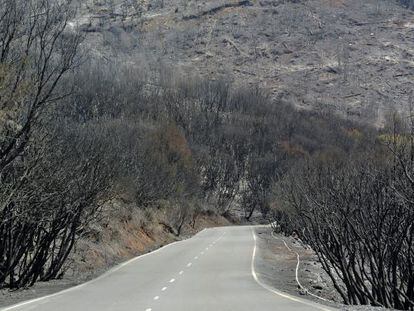 Terreno calcinado en Valle Gran Rey.