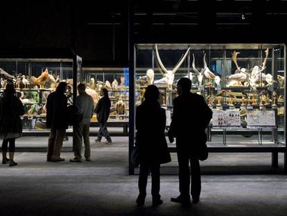 El Museo de Ciencias Naturales de Barcelona, el que más visitan los barceloneses.