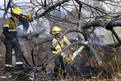 Bombers, en un bosc després d'un incendi dimecres a Terrassa.