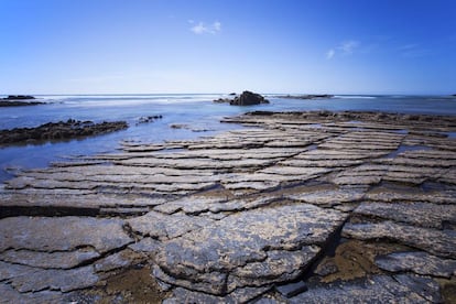 Siete kilómetros hacia el norte por la EN120 llegamos a la playa de Carriagem (en la foto), cuyo estrecho arenal se convierte, con bajamar, en un anfiteatro natural de roca que sobrevuelan águilas y gavilanes. Luego llegan Rogil y su molino de viento, y tras una travesía cuajada de frondosos árboles aparece Odeceixe, acostado en una ladera, en el límite con la región del Alentejo. Escenario de rivalidad paisajística entre el mar y el impetuoso río Seixe, los últimos rayos de sol se reflejan en el agua haciéndola brillar como el metal. Momento de dirigirse a O Chaparro, donde sirven, casi con toda seguridad, unas de las sardinas asadas más ricas de todo el litoral.