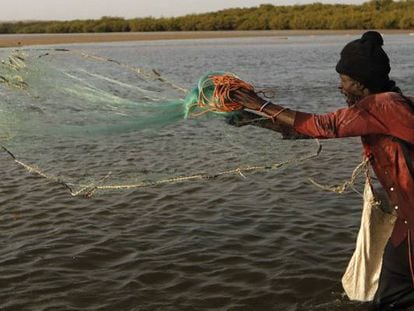 Un pescador en un lago cercano a Thies, en Senegal, uno de los países para los que el FMI espera crecimiento este año.