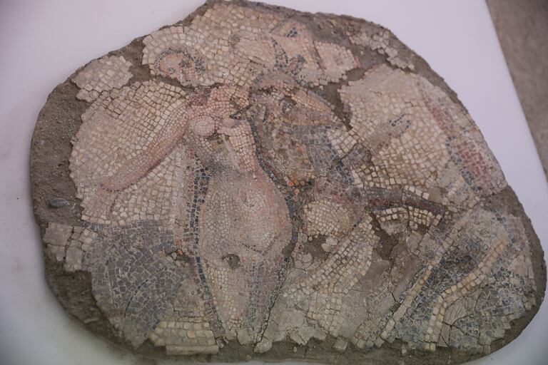 Pieza perteneciente al mosaico del rapto de Europa del Museo Arqueológico de Sevilla donde se procederá al traslado de las piezas para la posterior rehabilitación del edificio.