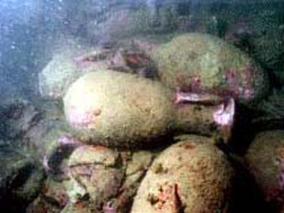 Ánforas de un barco romano halladas frente a la costa de La Vila Joiosa.