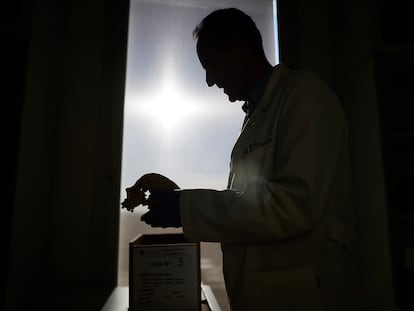 El doctor José Antonio Lorente manipula un cráneo de los restos óseos atribuidos a Cristóbal Colón que se guardan en la Facultad de Medicina de Granada.