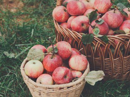 Fibras de frutas, leche o madera. Así es como la moda quiere abandonar lo sintético 