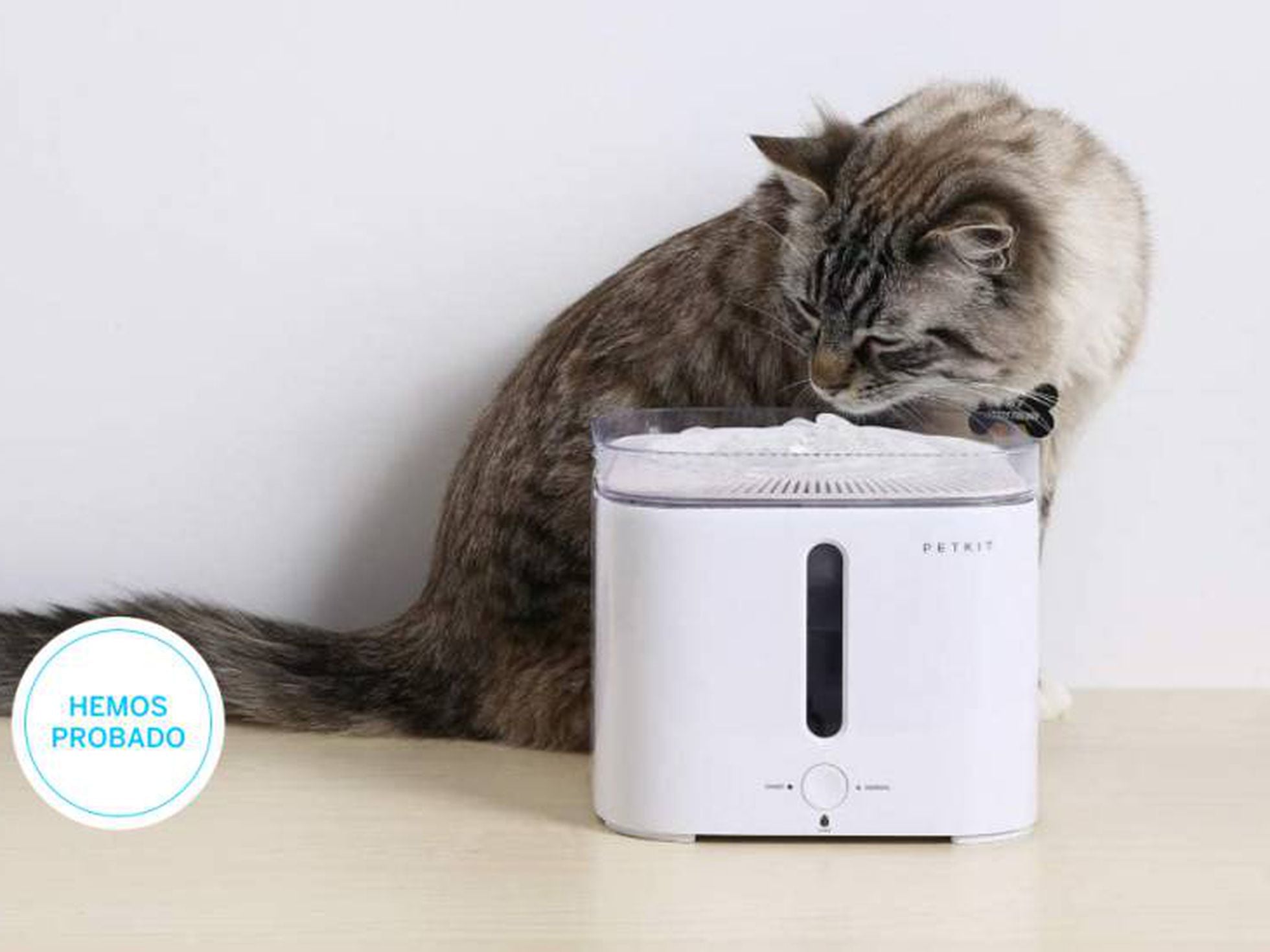 Fuente para gatos con sensor de movimiento, silenciosa edipets