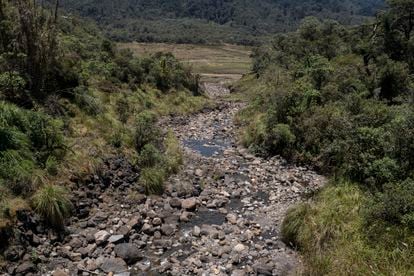 A river around the Chuza reservoir has low water levels.