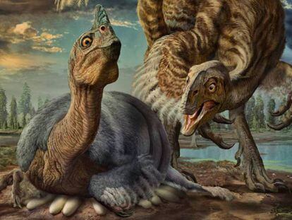 Un dinosaurio similar al llamado 'Beibeilong sinesis' en el acto de incubar sus huevos.