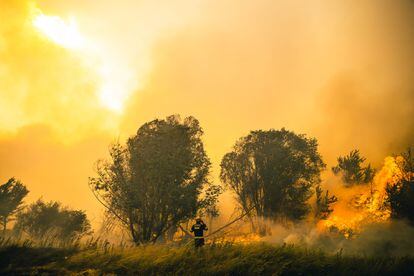 Un bombero en el incendio forestal en la Sierra de la Culebra en Zamora, el pasado 18 de junio.
